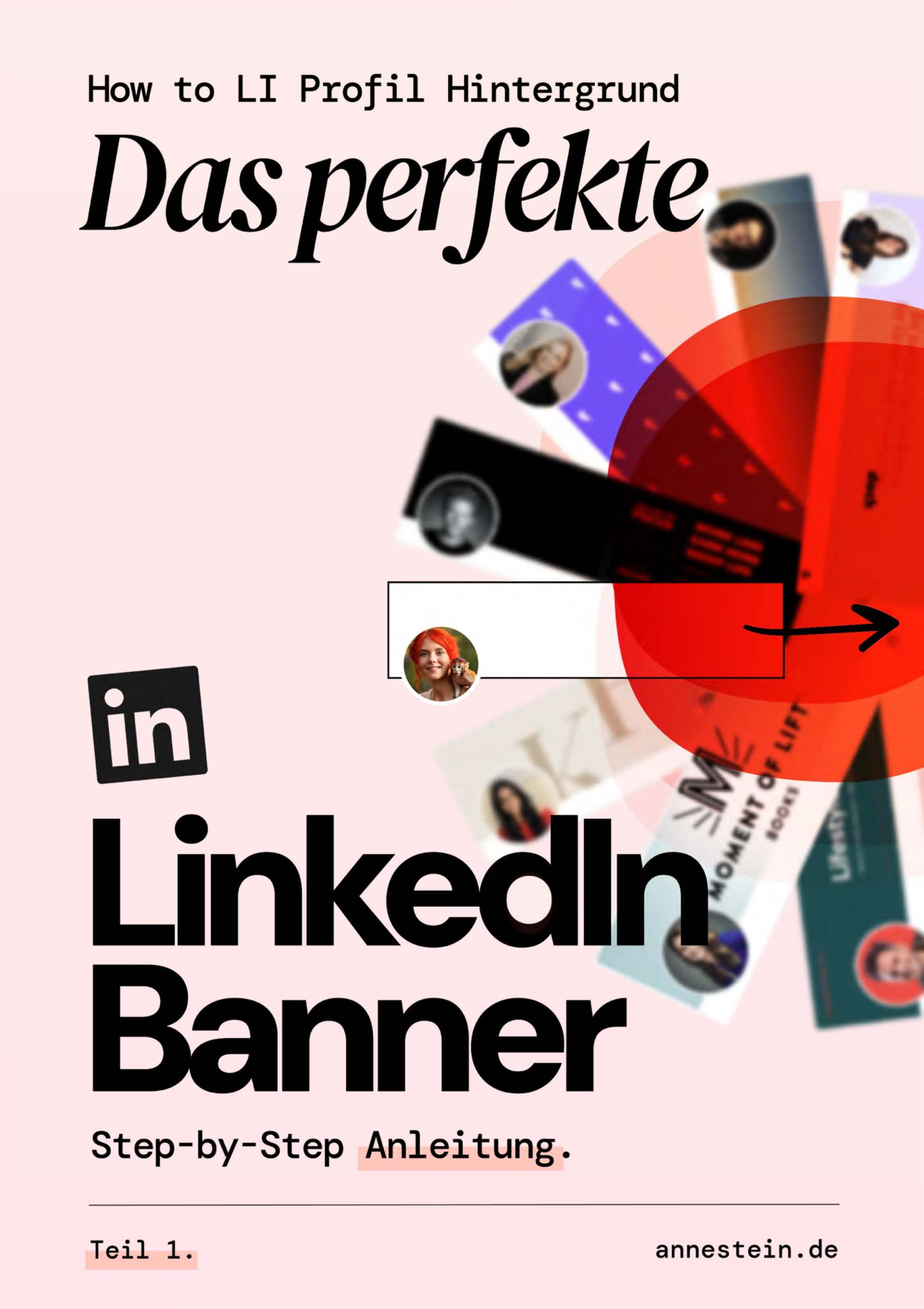 LinkedIn Upgrade - Anne Stein